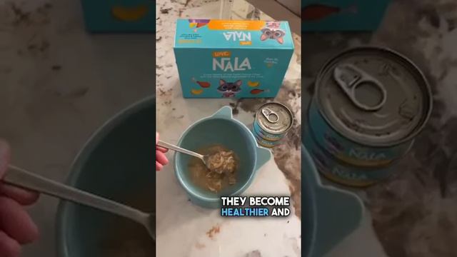 Нала — самая богатая кошка в мире с состоянием в 100 млн долларов. смотреть онлайн