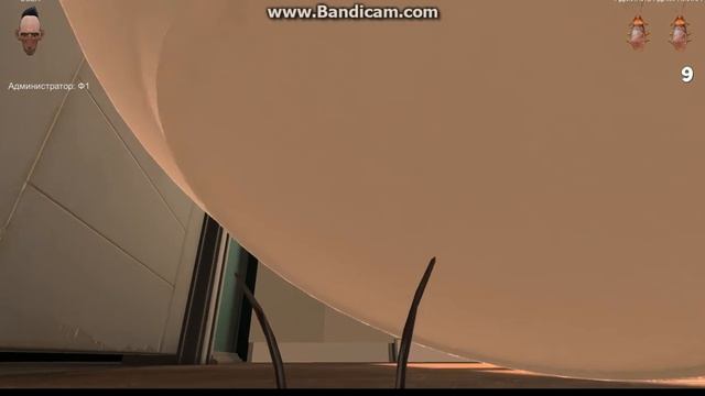 cockroach simulator геймплей смотреть онлайн