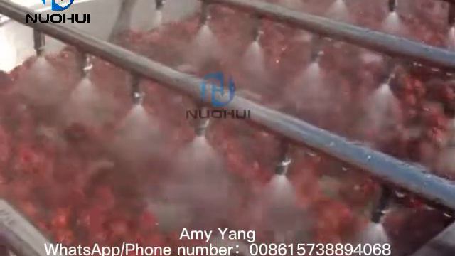 Hot sale in Europe Jujube cleaning machine vegetable washing machine смотреть онлайн