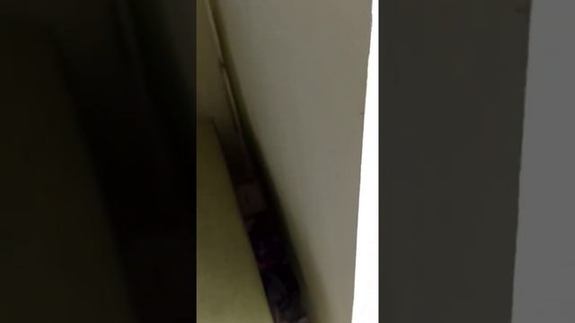 мокрая стена в квартире, в 30 см от этого угла трещина кладки наружной конструкции. смотреть онлайн