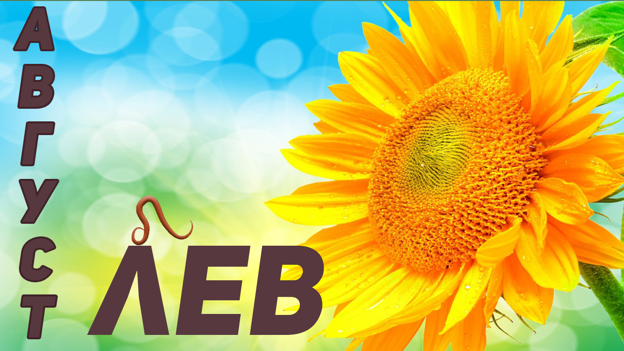 ? ЛЕВ – ТАРО ПРОГНОЗ на АВГУСТ 2022 года ?