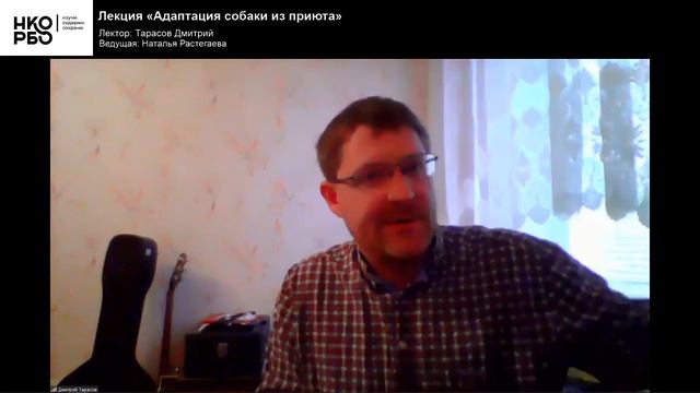 Лекция №7 "Адаптация собаки из приюта" смотреть онлайн