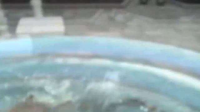 Прикольное видео кошек в воде! смотреть онлайн