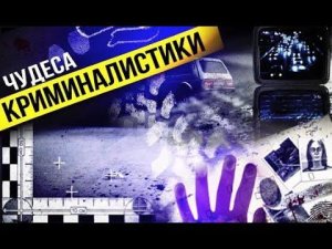 "Чудеса криминалистики" - Цифровые преступления
