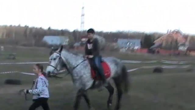 Популяризация конного спорта смотреть онлайн