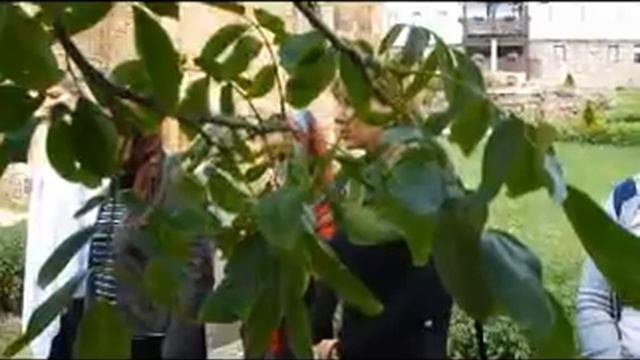 Poseta na Lesnovskiot manastir na den Petrovden 2014 god, смотреть онлайн