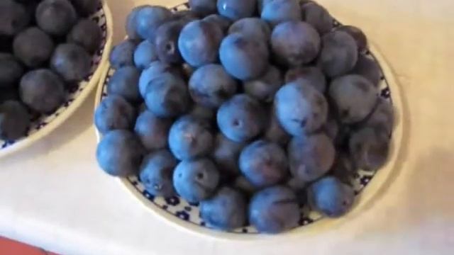 Free fruit / Бесплатные фрукты смотреть онлайн
