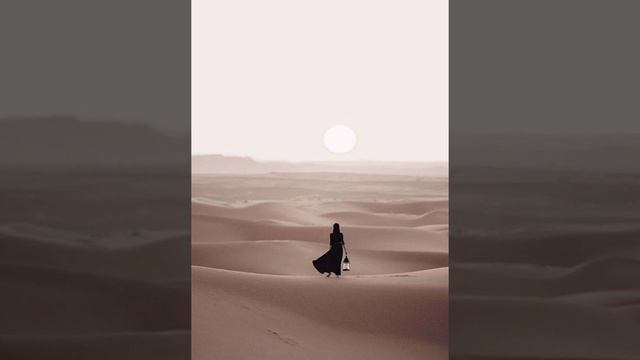 a Rose in the Desert смотреть онлайн