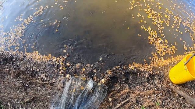 Рыбалка на кастинговую сеть 5 метров ячейка 30 смотреть онлайн