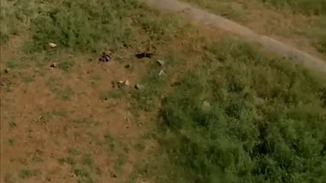 Африканские бабуины смотреть онлайн