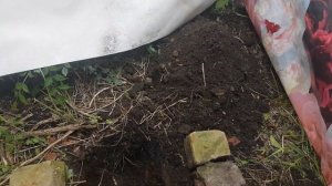 Временный дачный туалет