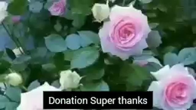 ayatul kursi 4 Qul surah Fatiha (Episode 515) 7 Taims repeat with Arabic Text beautiful (Arsh)#ayat смотреть онлайн