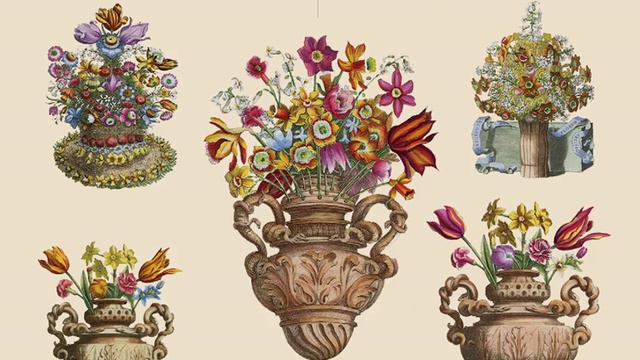 Harpsichord Sonata No. 3 in E Major: II. Larghetto e cantabile смотреть онлайн