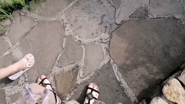 Влог/Едем в Геленджик /первый день на море смотреть онлайн