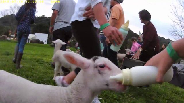 My trip to Rio Grande do Sul (Brazil) смотреть онлайн