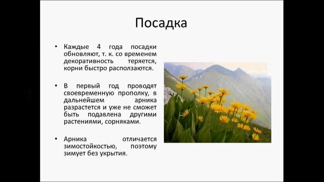 Арника смотреть онлайн