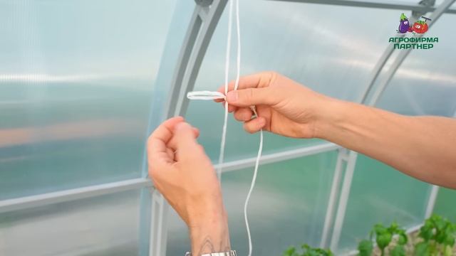 Как формировать перец в открытом и защищенном грунте. Про коронный цветок. Подкормки. Подвязка. смотреть онлайн