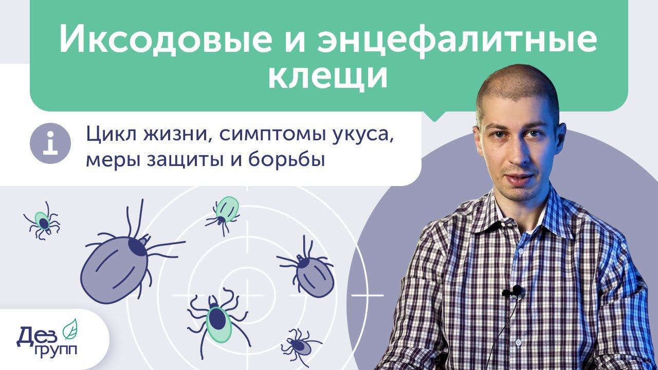 Все про клещевой энцефалит ️ Иксодовый и энцефалитный клещ | Симптомы энцефалита | Укусил клещ