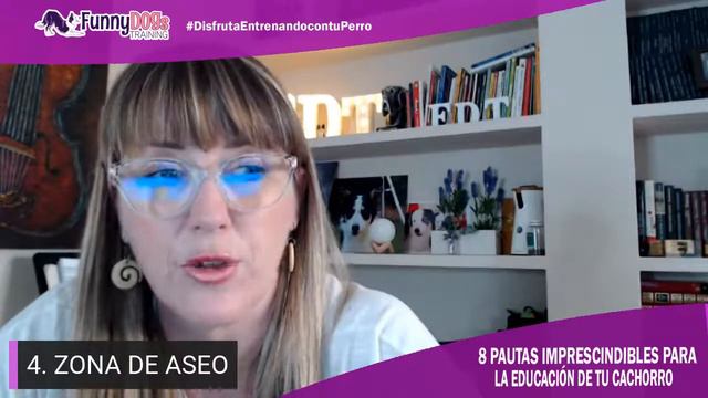 Las 8 Pautas Imprescindibles para Educar un Cachorro смотреть онлайн