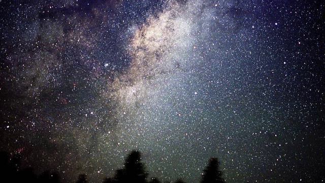 Selim Palmgren ~ The Stars Are Twinkling Op. 72 смотреть онлайн