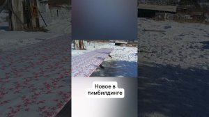 новое в тимбилдинге