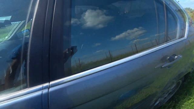 Слепни или оводы - кто эти твари?! смотреть онлайн