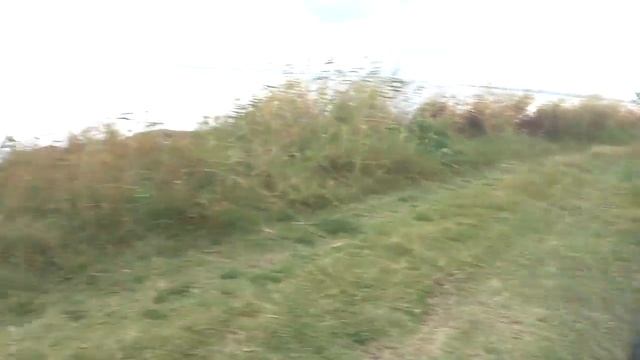 DL Audio Gryphon Pro 4.200 + 4 шт AZ13 GR-1084 смотреть онлайн