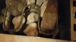 Электрокаменка 6 квт 220в