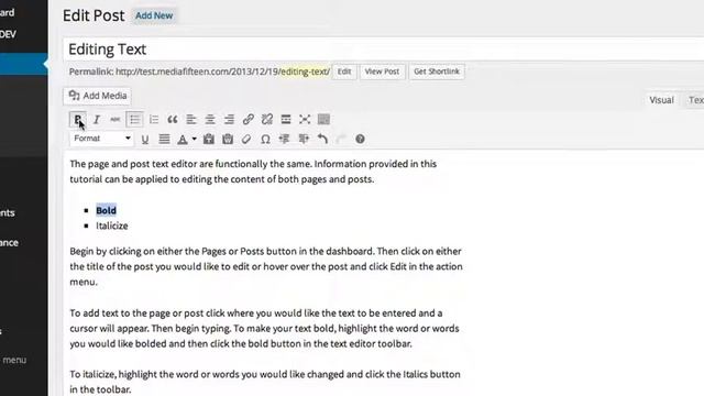 Wordpress - How to edit and update posts and pages смотреть онлайн