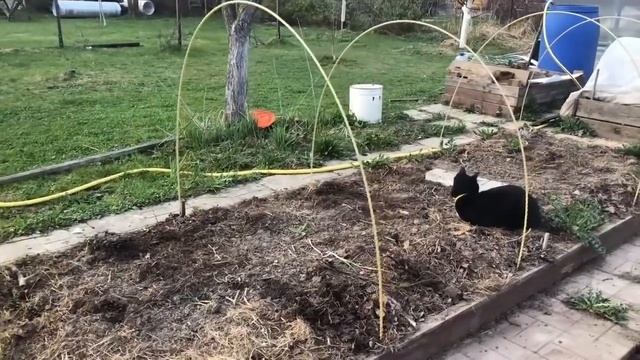 ДУГИ для ПАРНИКА какие лучше? Опыт 15 лет смотреть онлайн