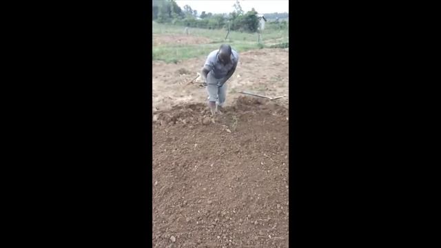 Jenga na Kevin Black EP 17 Introduction to Land scaping смотреть онлайн