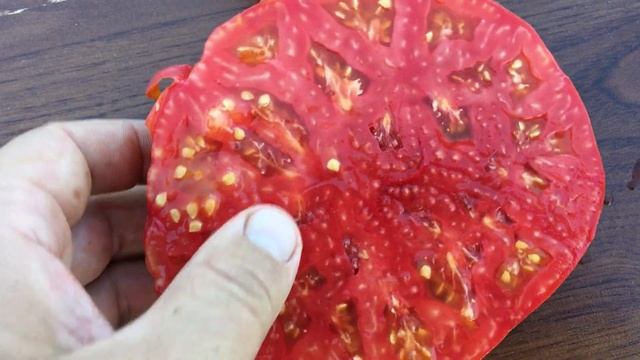 Самый вкусный и мясистый плод у томата МЕДВЕЖЬЯ ЛАПА смотреть онлайн