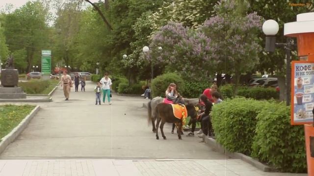 Новости о пенсиях на 28 августа смотреть онлайн