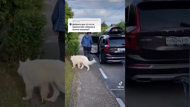 КАК ВОЗИТЬ СОБАКУ В МАШИНЕ. смотреть онлайн