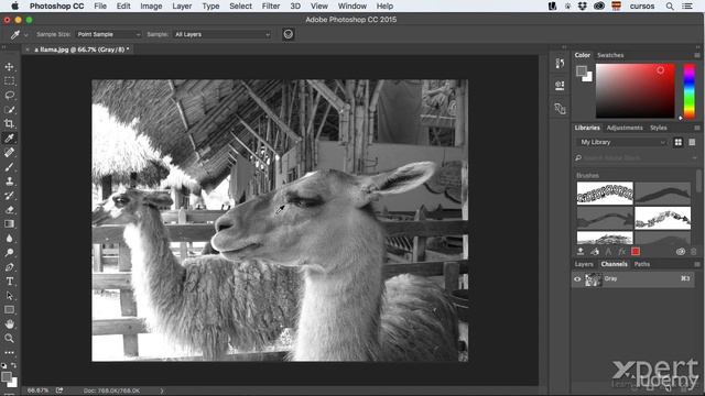 02-05 Entender la profundidad de bits en imágenes digitales - Curso gratis Adobe Photoshop CC. смотреть онлайн