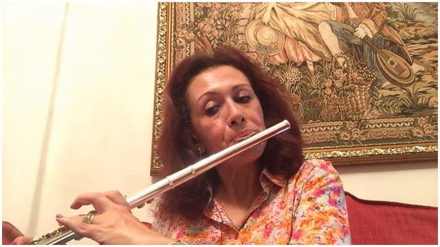 Adagio - T. Albinoni Flute Cover. смотреть онлайн