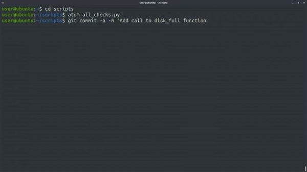 Advanced Git Tutorial | Google IT Automation with Python Certificate