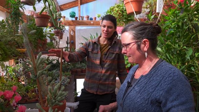 PROPAGATE EUPHORBIA with Kingbird Farm — Ep. 226 смотреть онлайн