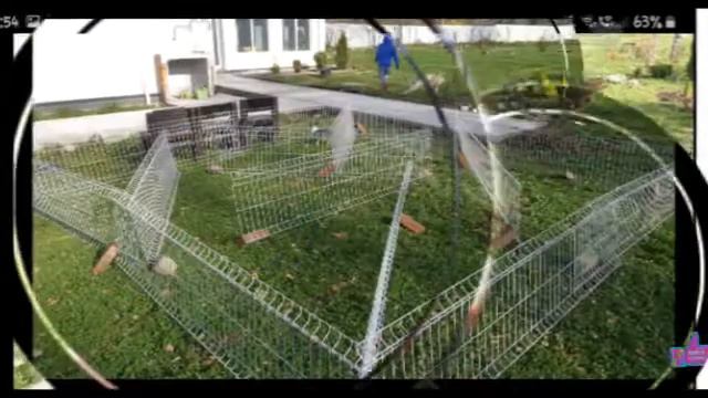 #лабиринт Кто первым выйдет из лабиринта пока я не вижу? (Фан Энни МЭДЖИК 🌌) смотреть онлайн