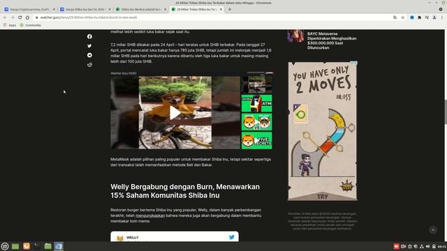 GILA BANGET!! SHIBA INU INI YANG TERJADI KEDEPANYA!! BAGAIMANA NASIB SHIBA INU ARMY TAHUN 2022?!! смотреть онлайн