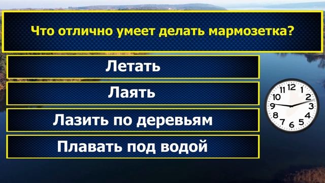 Интересные вопросы на эрудицию и кругозор с ответами #246 /Тест на общие знания /Тест на эрудицию смотреть онлайн
