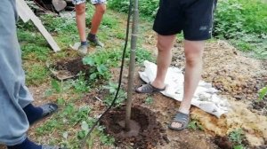 Электрический бур. Проверка и испытание. Бурение под столбы.