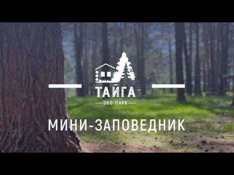 ЭКО-Парк Тайга с горячим минеральным источником