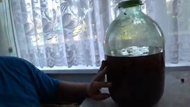 ВИШНЁВКА, ЧТО И КАК ДЕЛАТЬ? смотреть онлайн