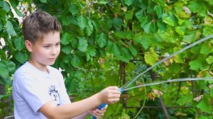 24 ЧАСА на 100 РУБЛЕЙ челлендж !!! Фаст Сергей устроился на работу!