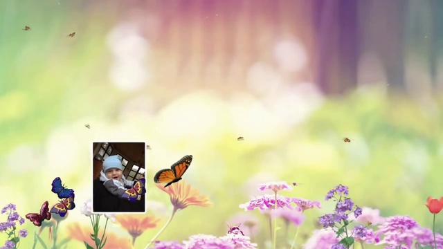 С ДНЕМ РОЖДЕНИЯ, МАКСИМКА!(ноябрь2014) смотреть онлайн