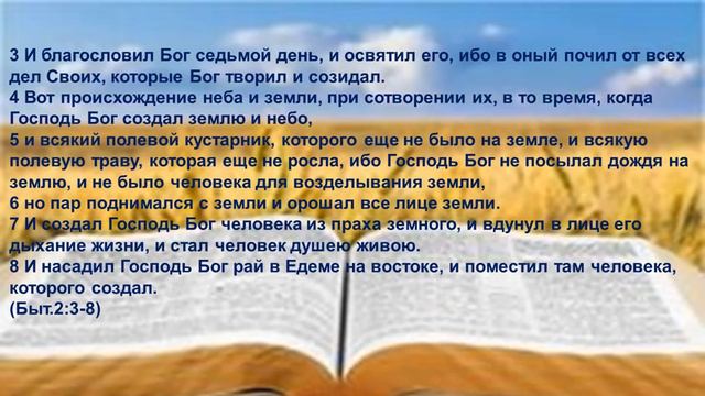 кн. БЫТИЕ 2гл 3-8 ст смотреть онлайн