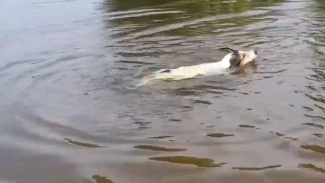 Что запрещено в Ильин день? смотреть онлайн