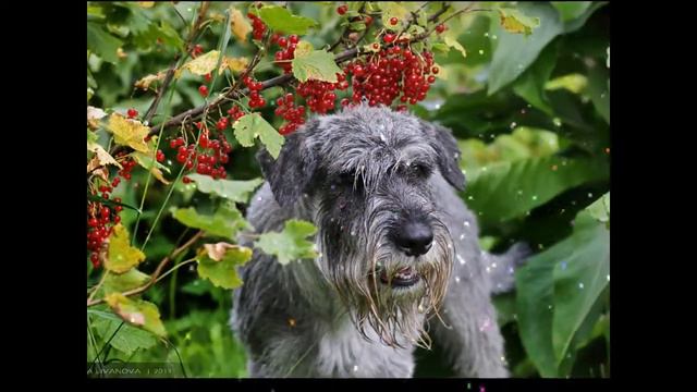 Юграше 5 лет смотреть онлайн