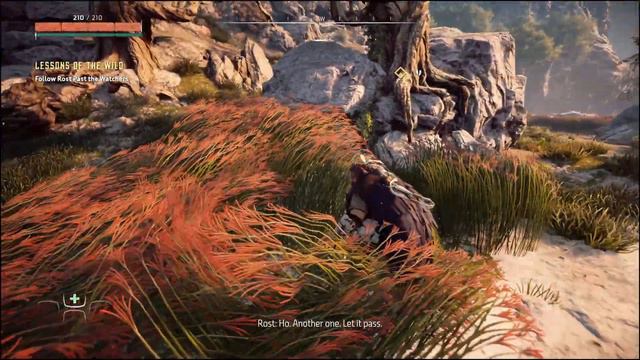 HORIZON: ZERO DAWN (in 2024) - EP01 - GAMEPLAY WALKTHROUGH смотреть онлайн